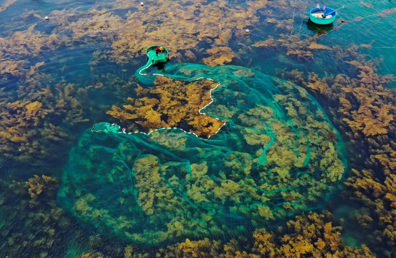 Private tour | The coral gardens of Hon Kho - Snorkeling & Island Adventure in Quy Nhon